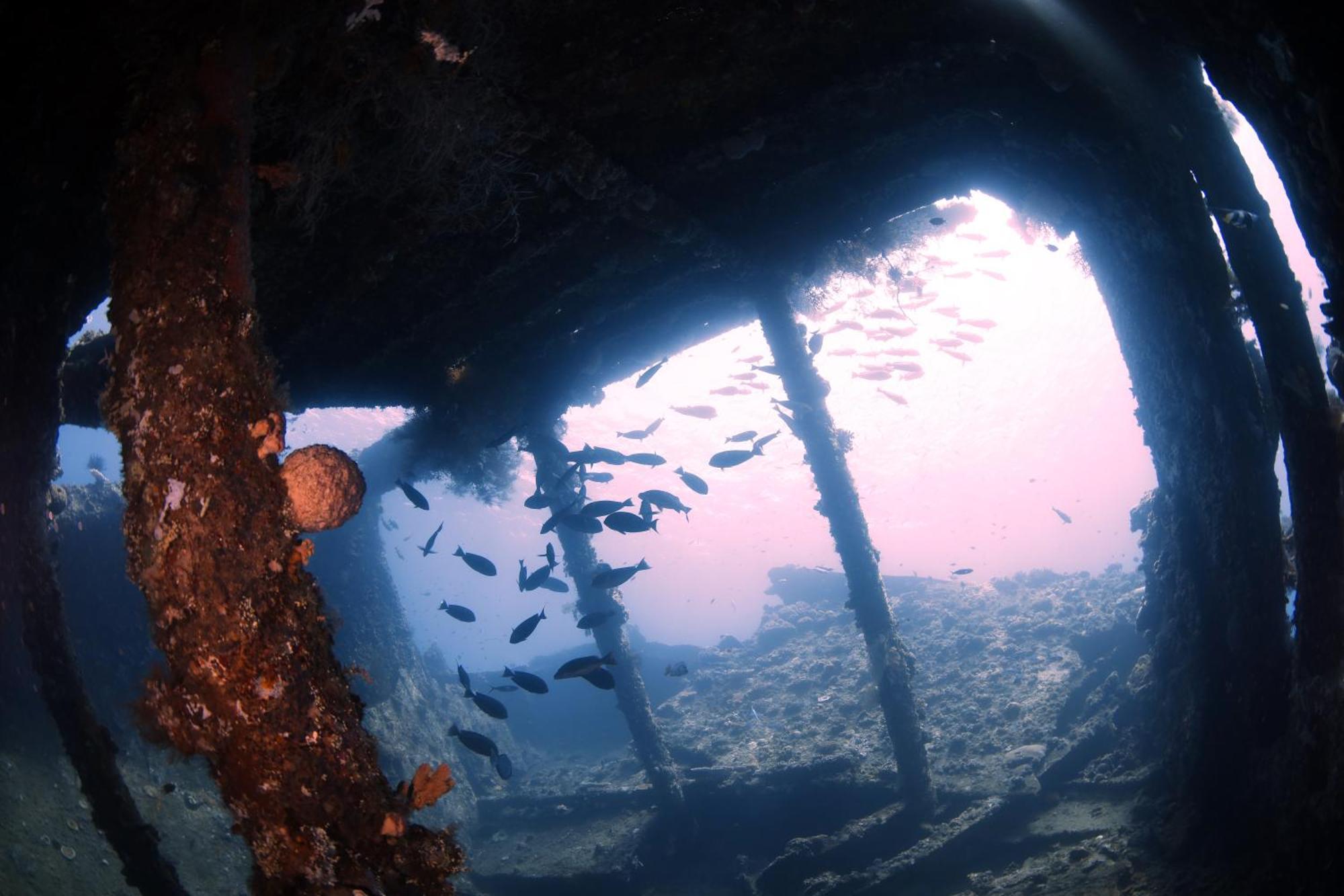 Villa Alba Bali Dive Resort Tulamben Kültér fotó