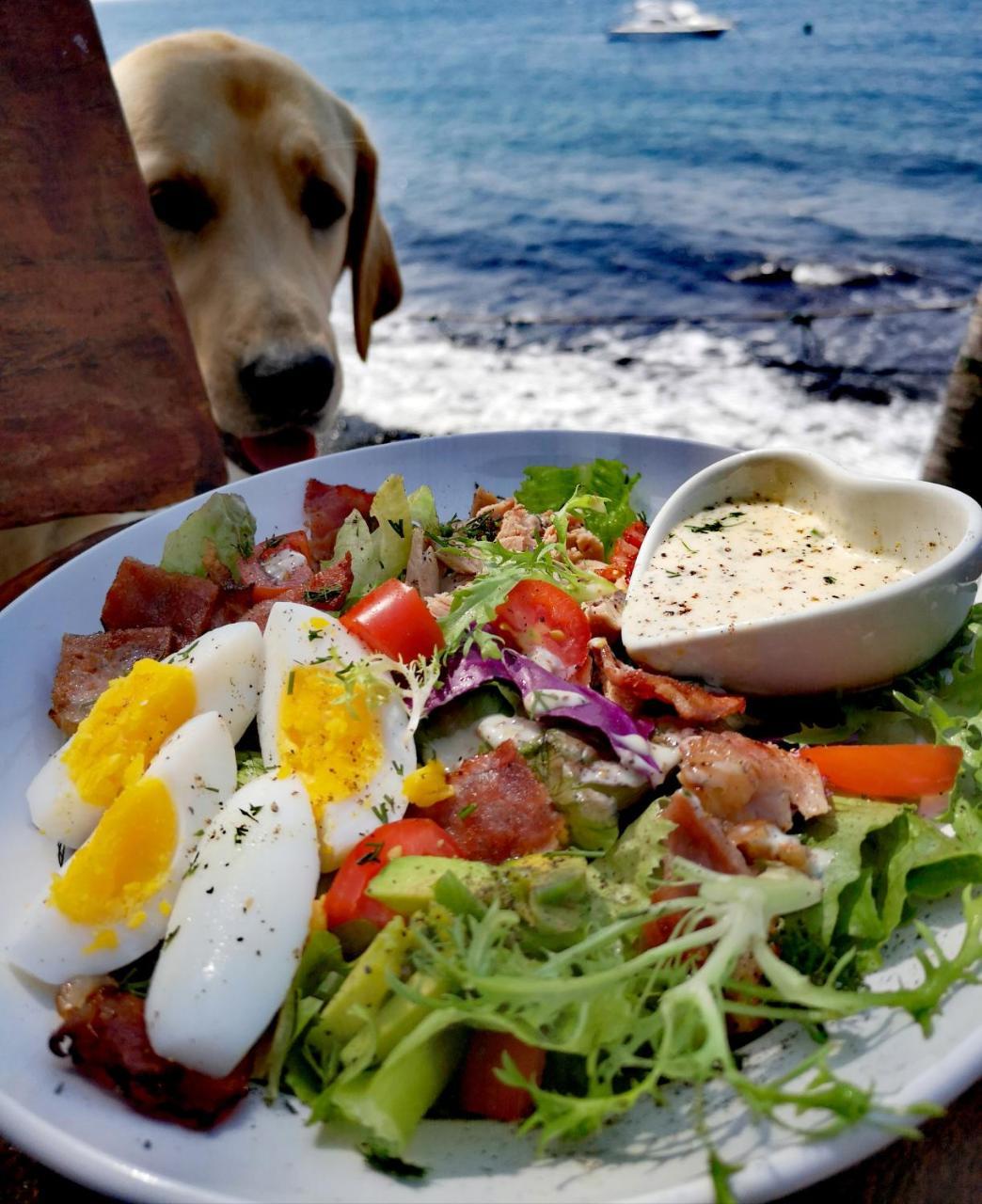 Villa Alba Bali Dive Resort Tulamben Kültér fotó